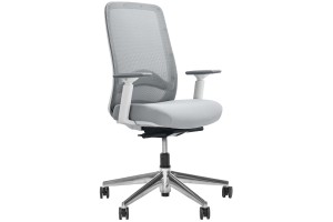Рабочее кресло Carot ASW Slide Серый/Белый/Алюминий