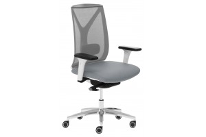 Офисное кресло Dion Mesh WG серый/белый/алюминий